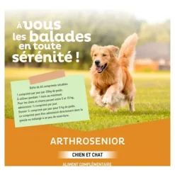 Clément Thékan Arthrosenior chien et chat comprimés