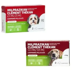 Clément Thékan Milprazikan Chien comprimés