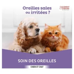 Clément Thékan Soin des oreilles Chien et chat