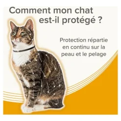 Collier anti puce chat Beaphar