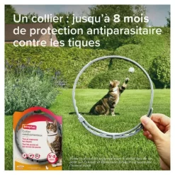 Collier anti puce chat Beaphar