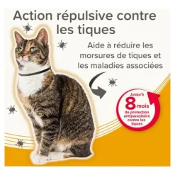Collier anti puce chat Beaphar