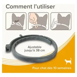 Collier anti puce chat Beaphar
