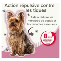 Collier anti puce chien Beaphar
