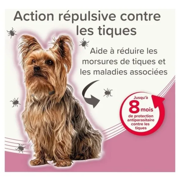 Collier anti puce chien Beaphar