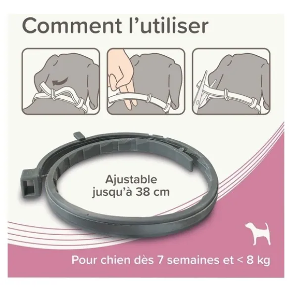Collier anti puce chien Beaphar