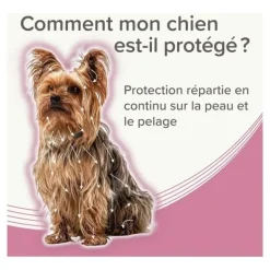 Collier anti puce chien Beaphar