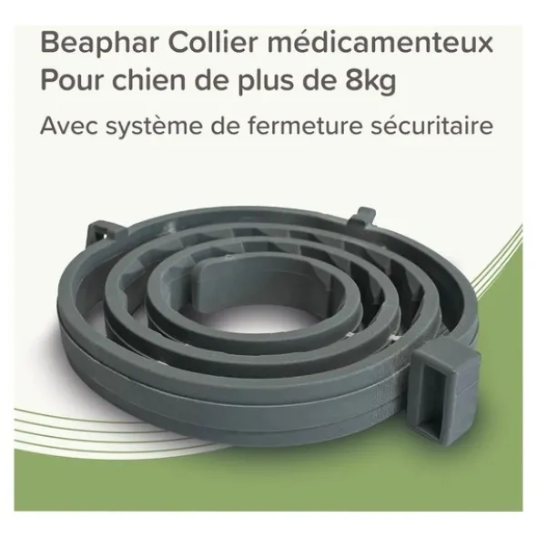 Collier anti puce chien Beaphar