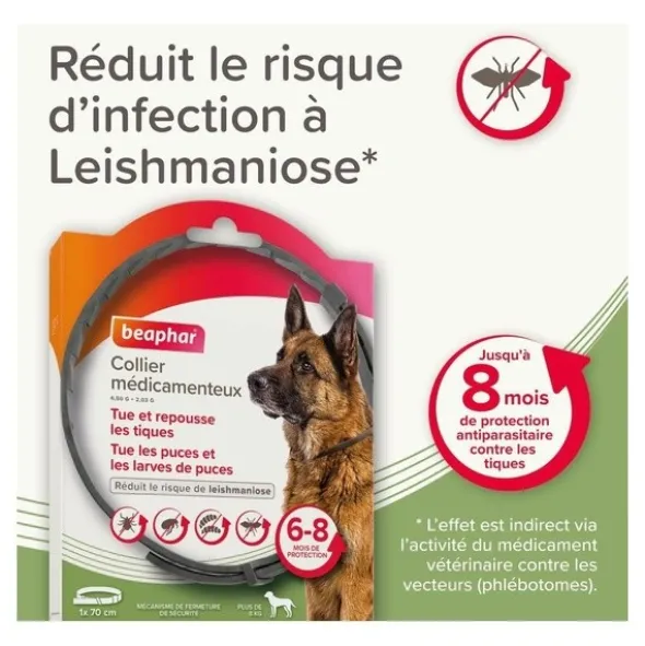 Collier anti puce chien Beaphar