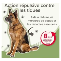 Collier anti puce chien Beaphar