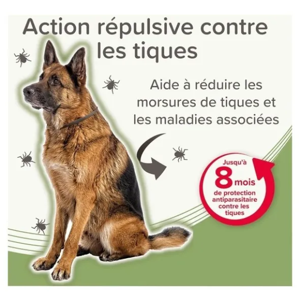 Collier anti puce chien Beaphar