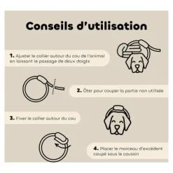 Collier anti puce chien Biovetol