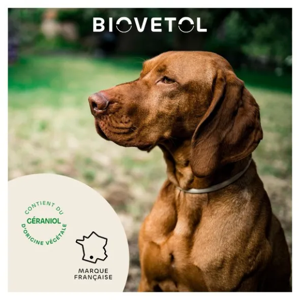 Collier anti puce chien Biovetol