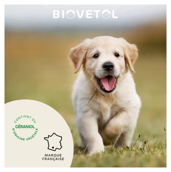 Collier anti puce chien Biovetol