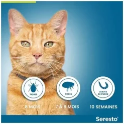 Collier anti puces Seresto Chat