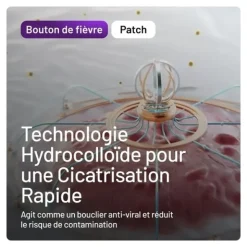 Compeed patchs Bouton de fièvre