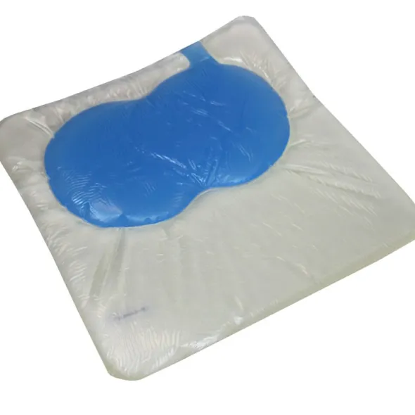 Coussin gel 2 housses