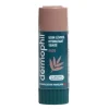 Dermophil Indien stick lèvre teinté