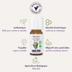 Docteur Valnet huile essentielle de Clou de Giroflier Bio