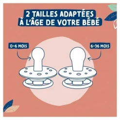 Dodie Gaia Sucette ronde caoutchouc naturel 6-36 mois