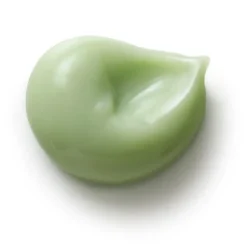 Dr Hauschka Dentifrice fortifiant à la menthe