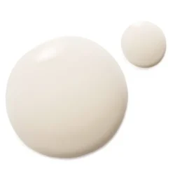 Dr Hauschka Déodorant Sauge Menthe roll on