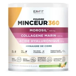 Eafit Minceur 360 poudre