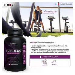 Eafit Tribulus comprimés