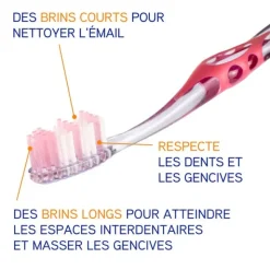 Elgydium Interactive brosse à dents souple