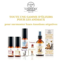 Elixirs and Co Fleurs de Bach Animaux Spray Réconfort immédiat