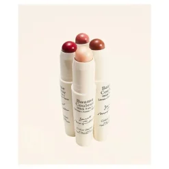 Embryolisse baume couleur stick 3 en 1