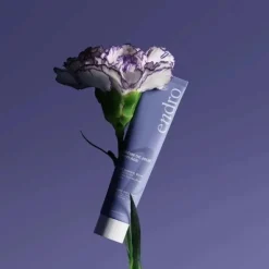 Endro crème de jour anti âge bio