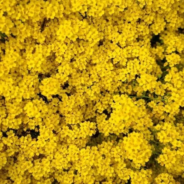 Endro Déodorant Baume 48h bio