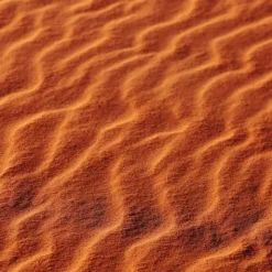 Endro Huile sèche sublimante bio