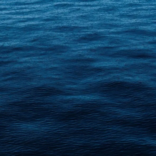 Endro sérum hydratant bio