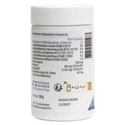 Ergyphilus GST gélules
