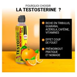 Eric Favre Boisson Testorine Booster orange