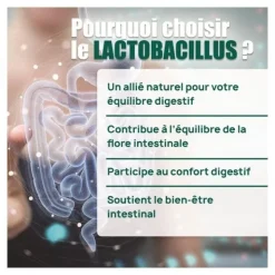 Eric Favre Lactobacillus gasseri 200 milliards gélules