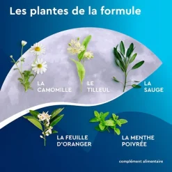 Euphytose Nuit tisane sachets