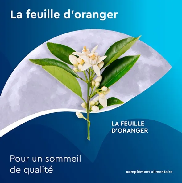 Euphytose Nuit tisane sachets