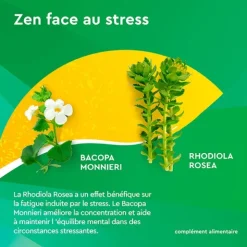 Euphytose Stress Concentration comprimés