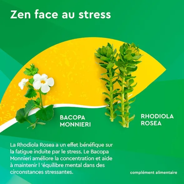 Euphytose Stress Concentration comprimés