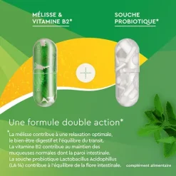Euphytose Stress Digestion gélules