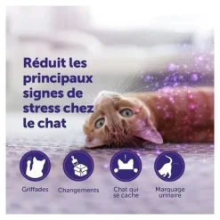 Feliway Classic Recharge pour diffuseur de phéromone