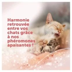 Feliway Friends Diffuseur de phéromones