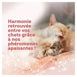 Feliway Friends Recharge pour diffuseur de phéromone