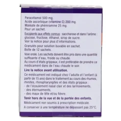Fervex Adulte état grippal sachet