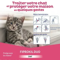 Fiprokil Duo Pipette anti puce Chat