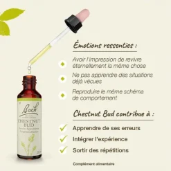 Fleurs de Bach Chestnut bud n°7