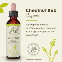 Fleurs de Bach Chestnut bud n°7